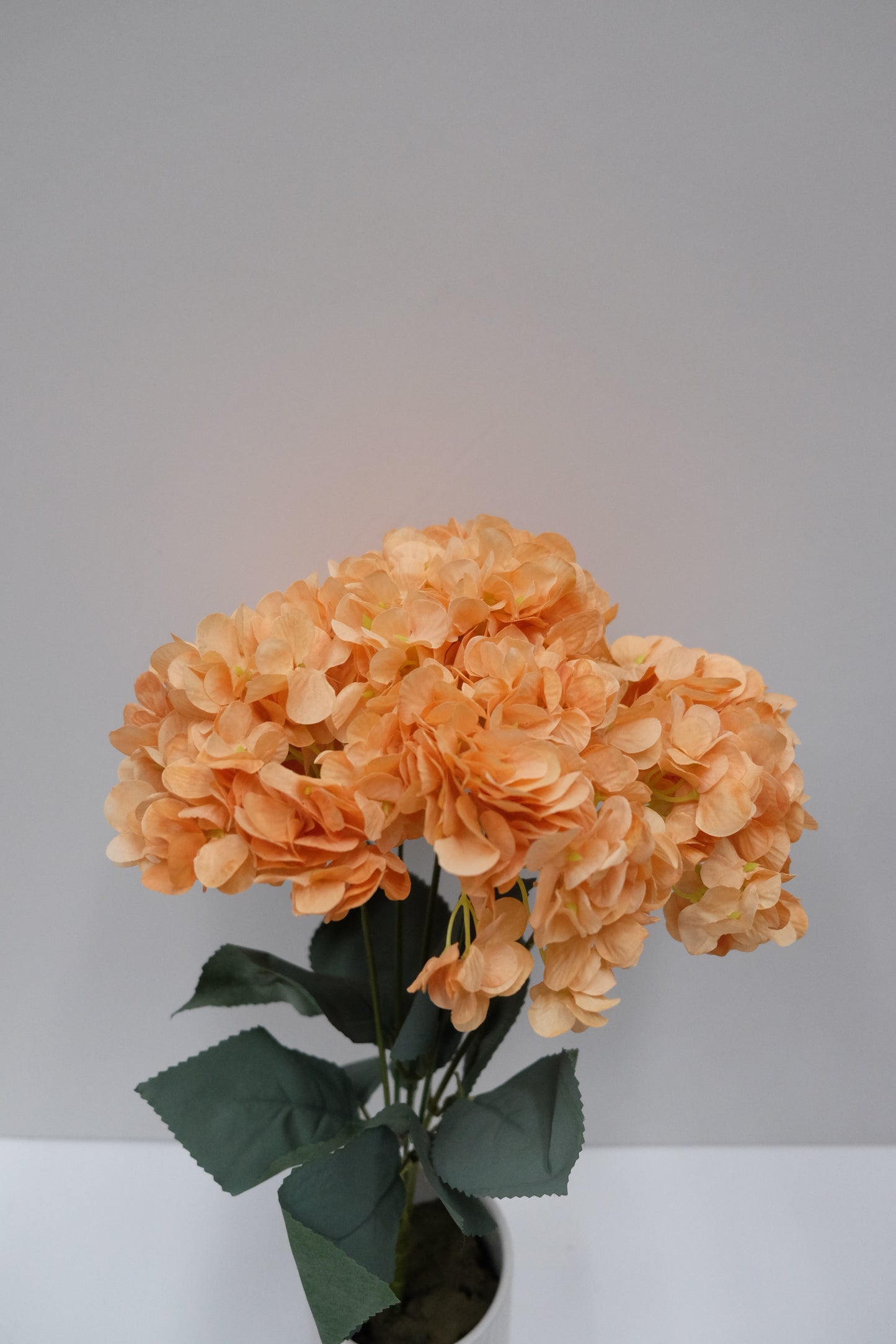 Premium Hydrangea Bunch (12 Colours)