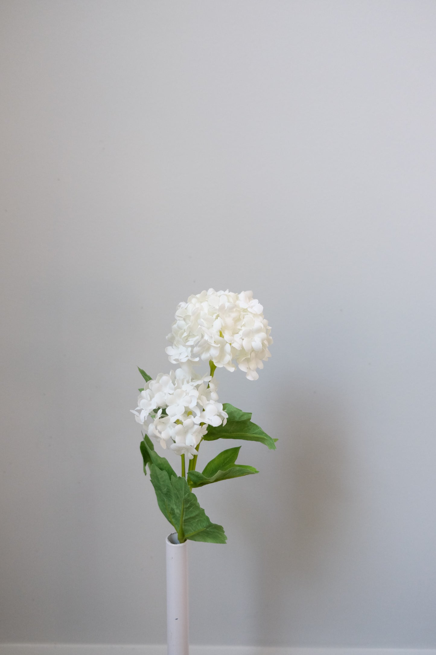 PomPom Hydrangea (4 Colours)