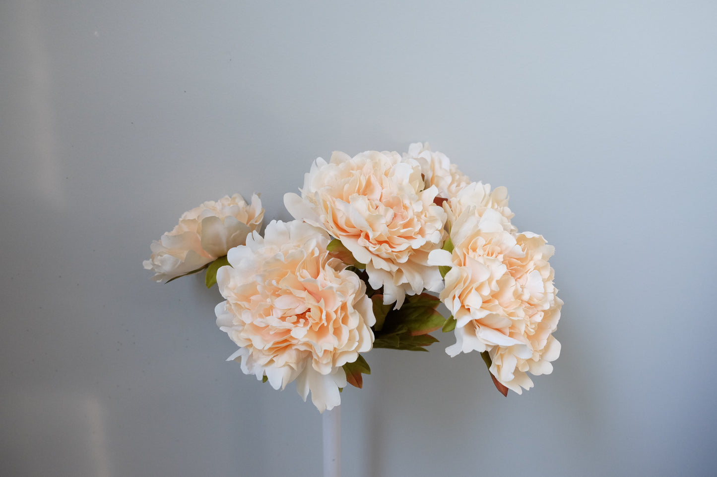 7H Silk Peony (9 Colours)