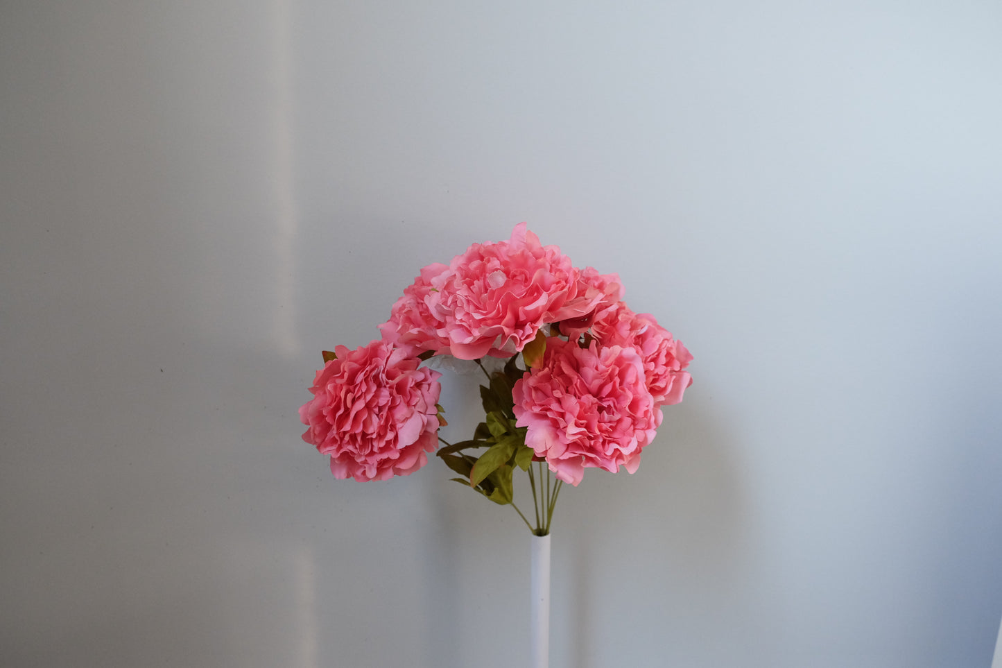 7H Silk Peony (9 Colours)