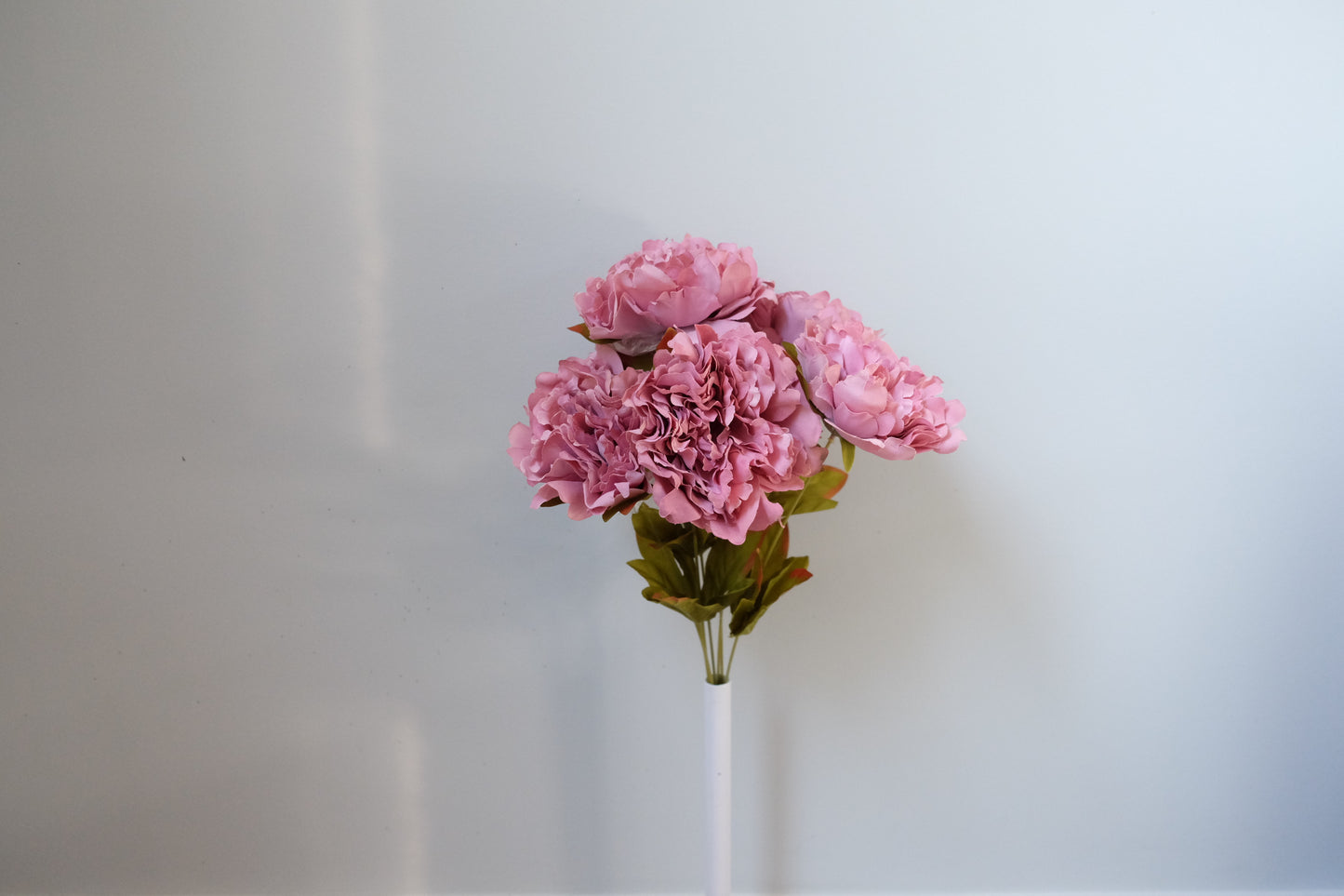 7H Silk Peony (9 Colours)