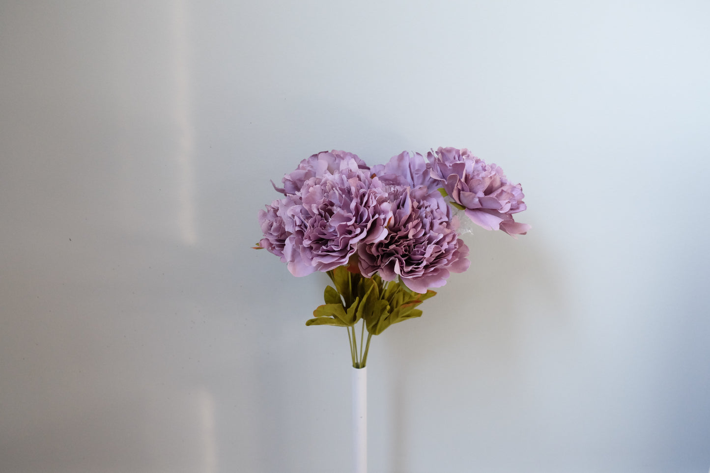 7H Silk Peony (9 Colours)