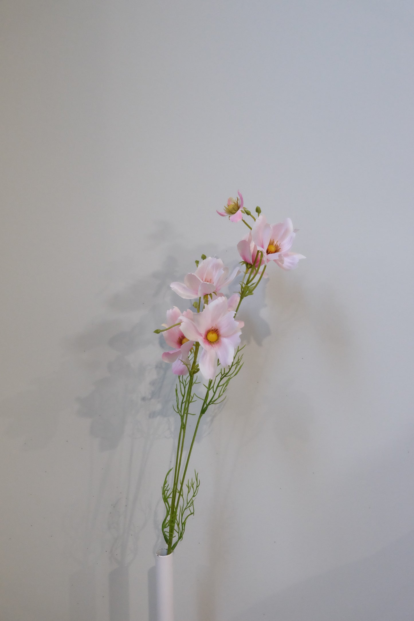 Éclat de Fleurs