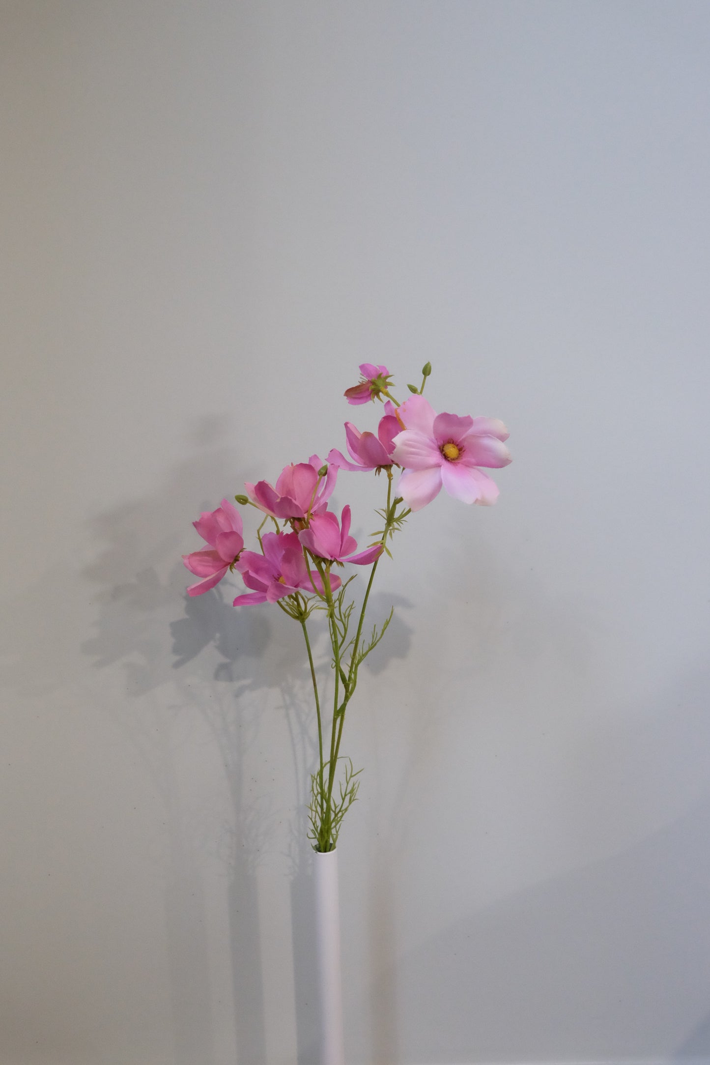Éclat de Fleurs