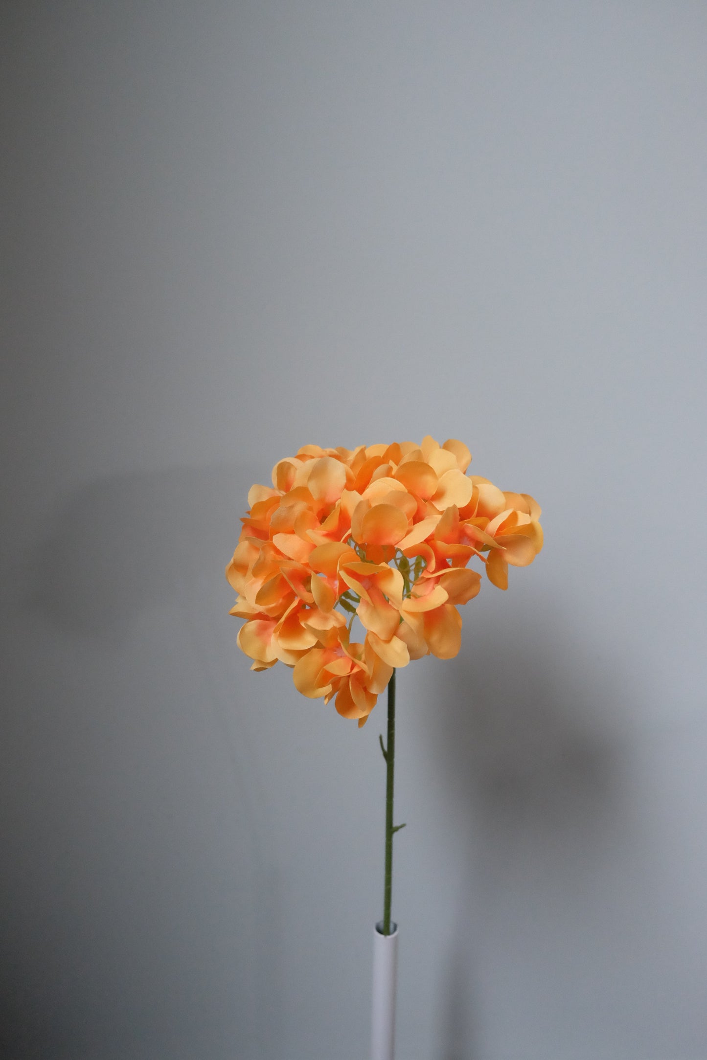 Hydrangea Stem (7 Colours)