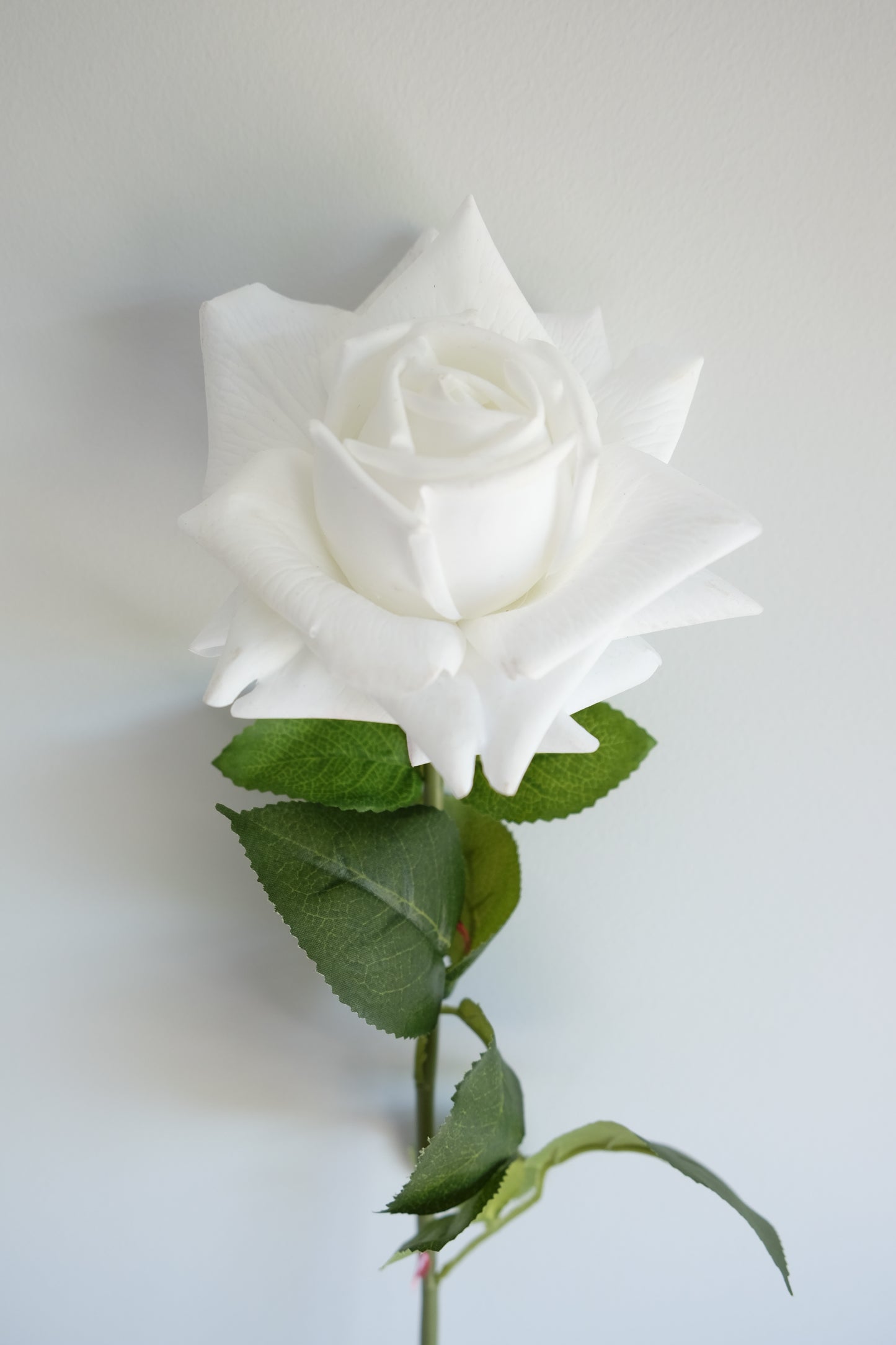 REAL TOUCH Rose Single Stem (5 Colours)