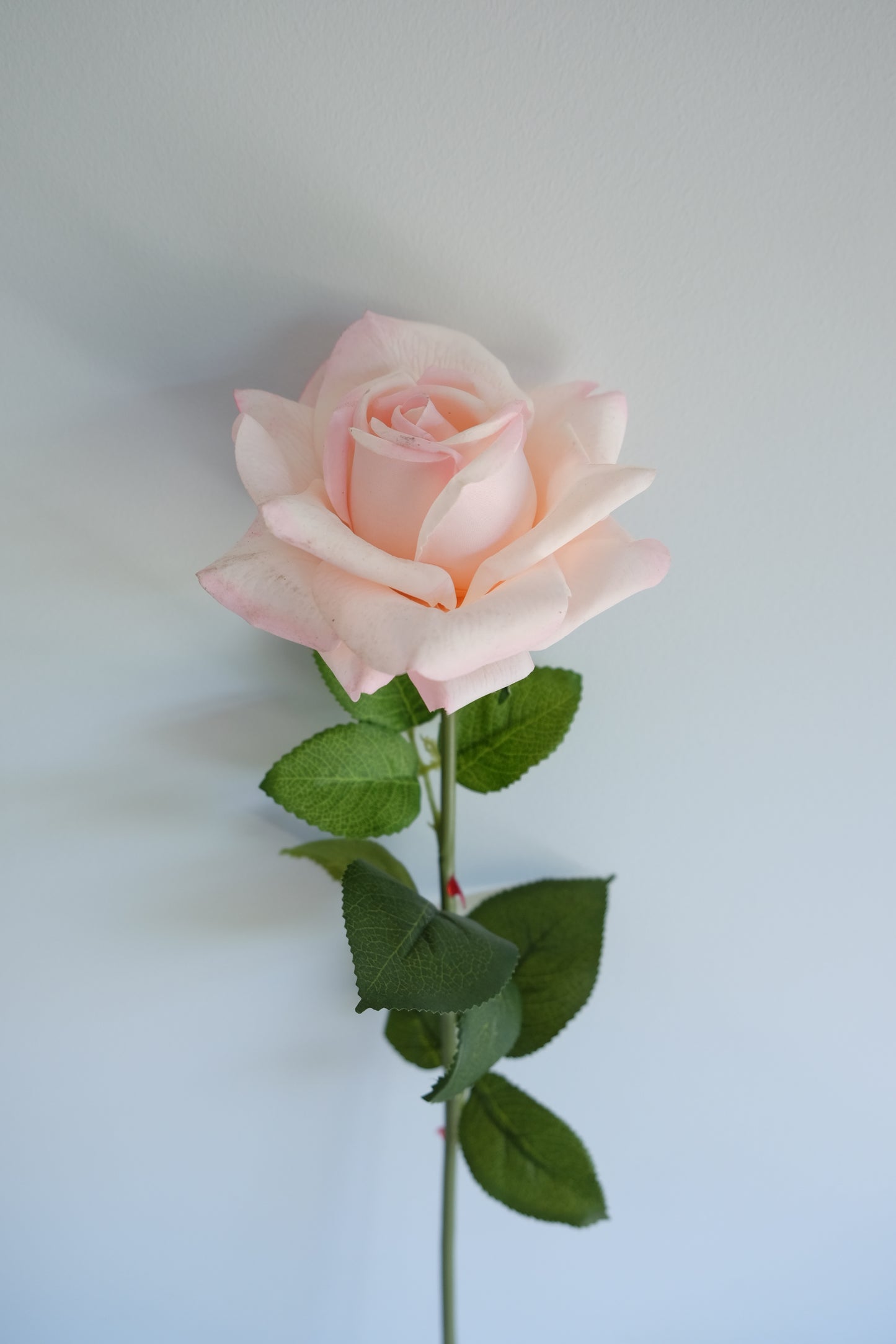REAL TOUCH Rose Single Stem (5 Colours)