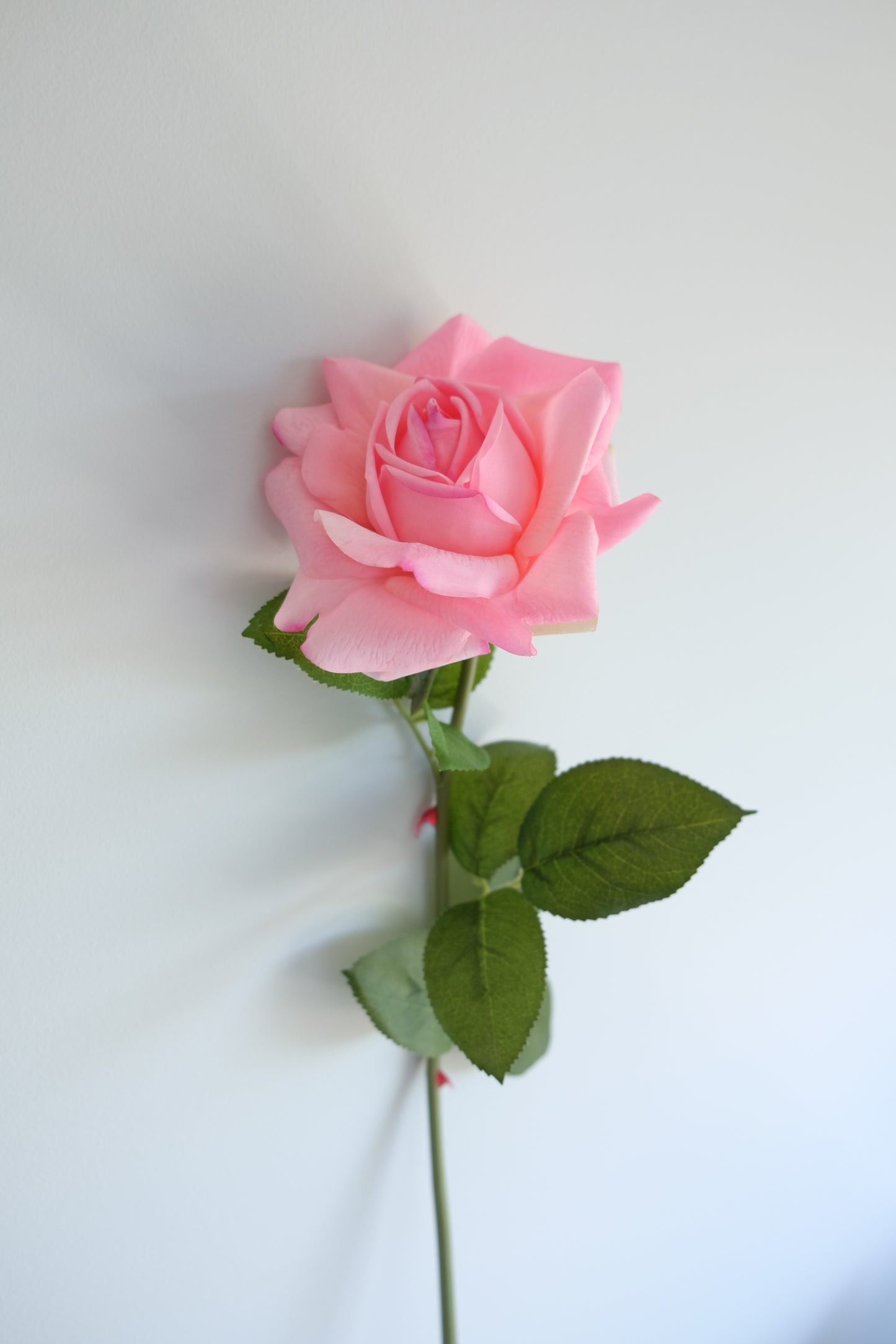 REAL TOUCH Rose Single Stem (5 Colours)