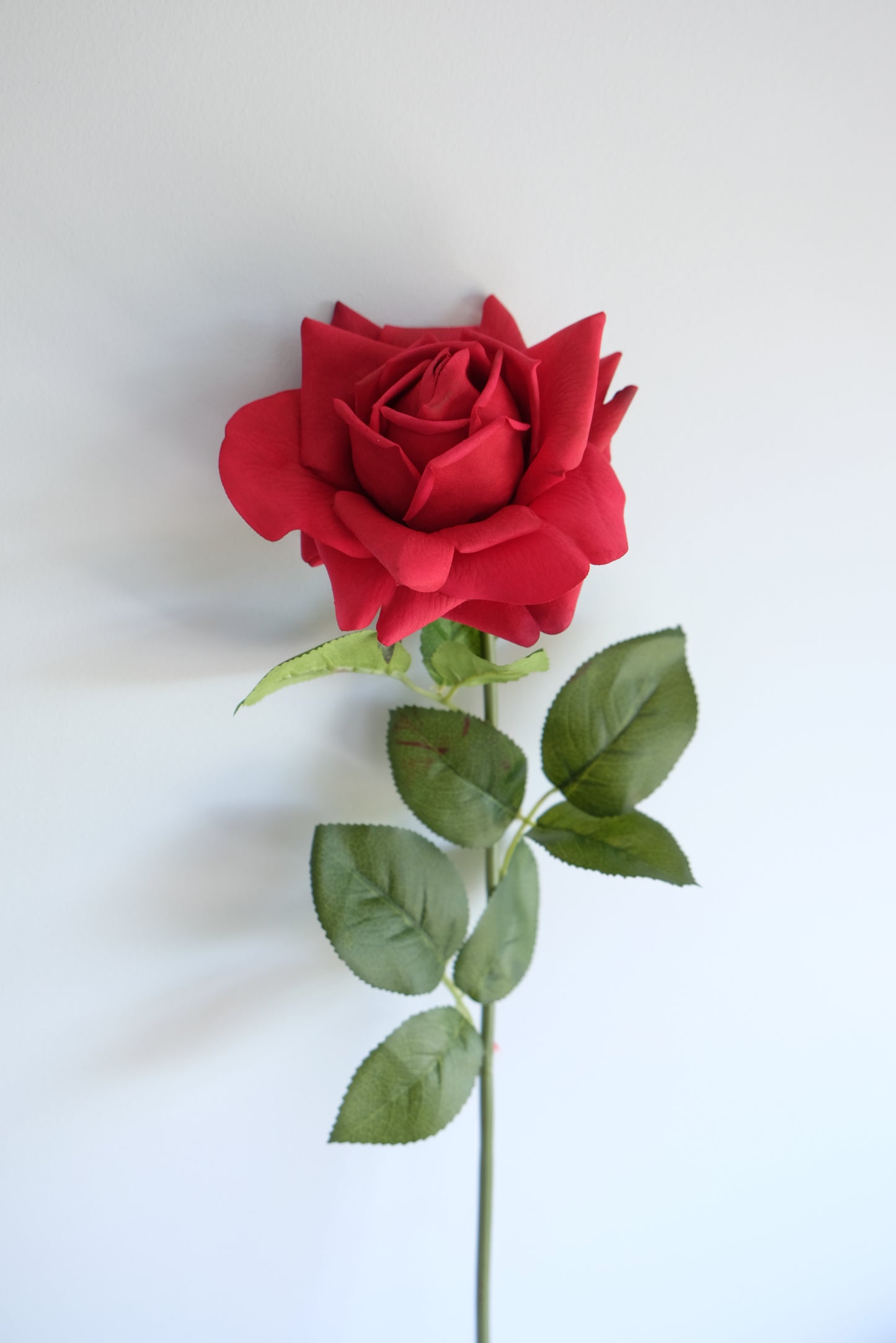 REAL TOUCH Rose Single Stem (5 Colours)