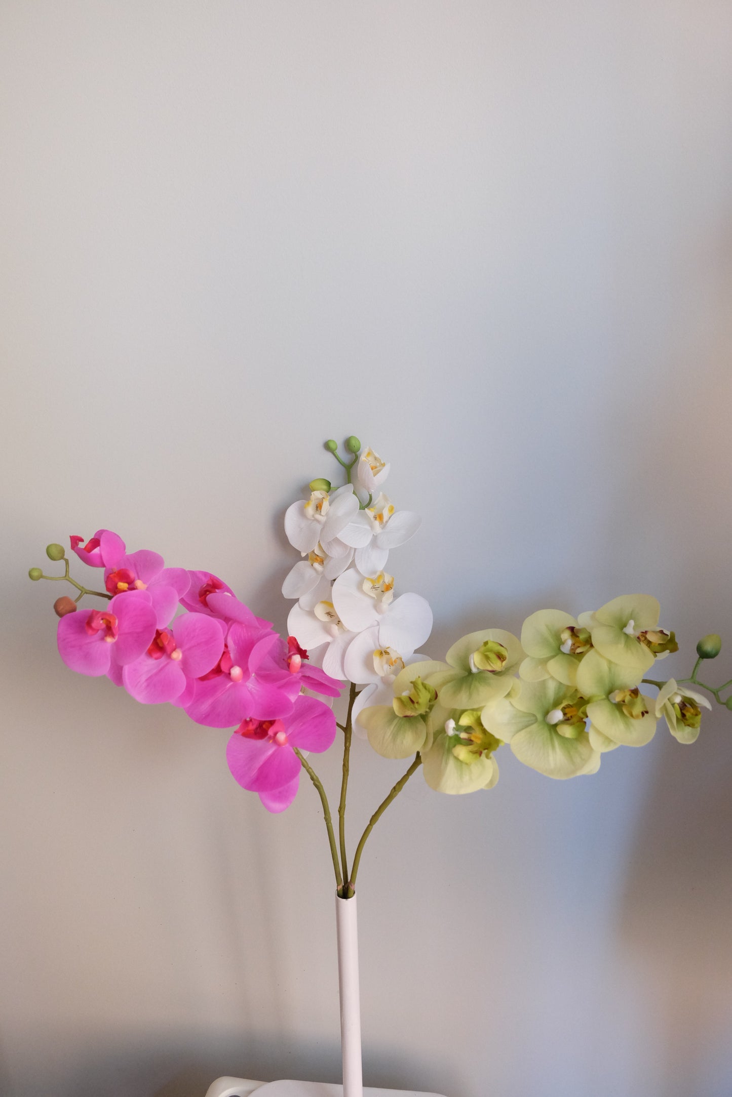 7H Oriental Orchid (Real Touch)