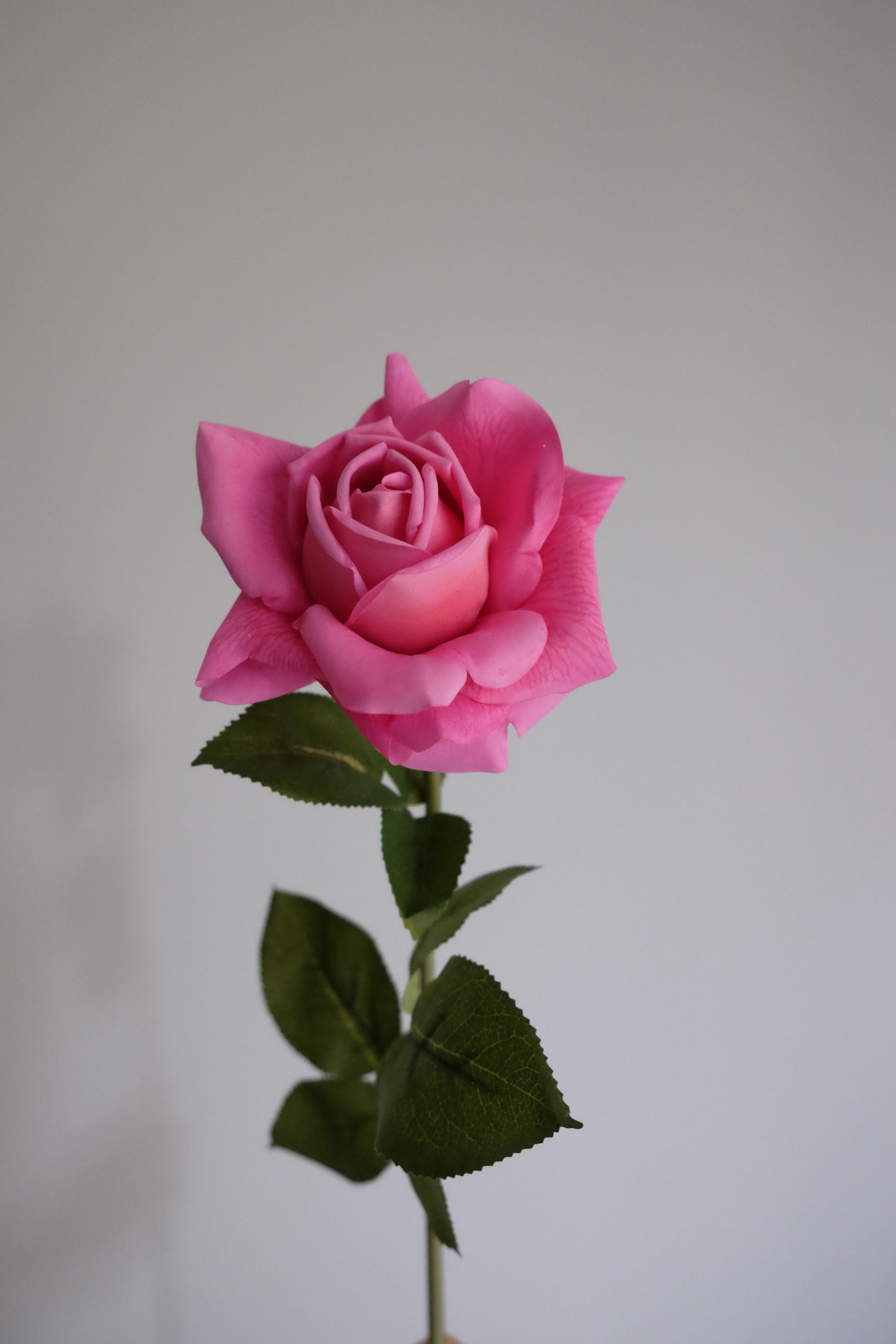 REAL TOUCH Rose Single Stem (5 Colours)