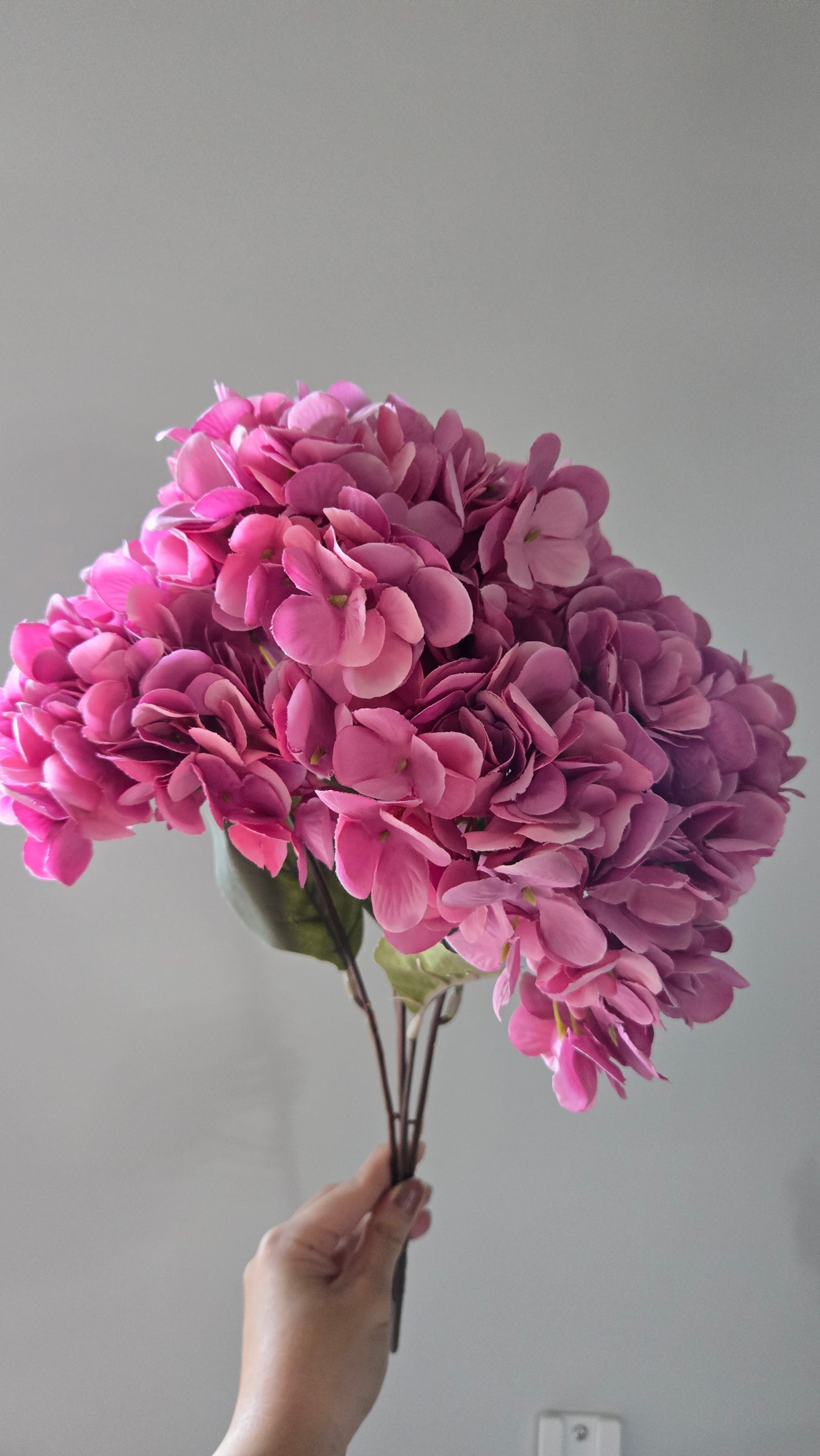Hydrangea Bunch (7 Colours)