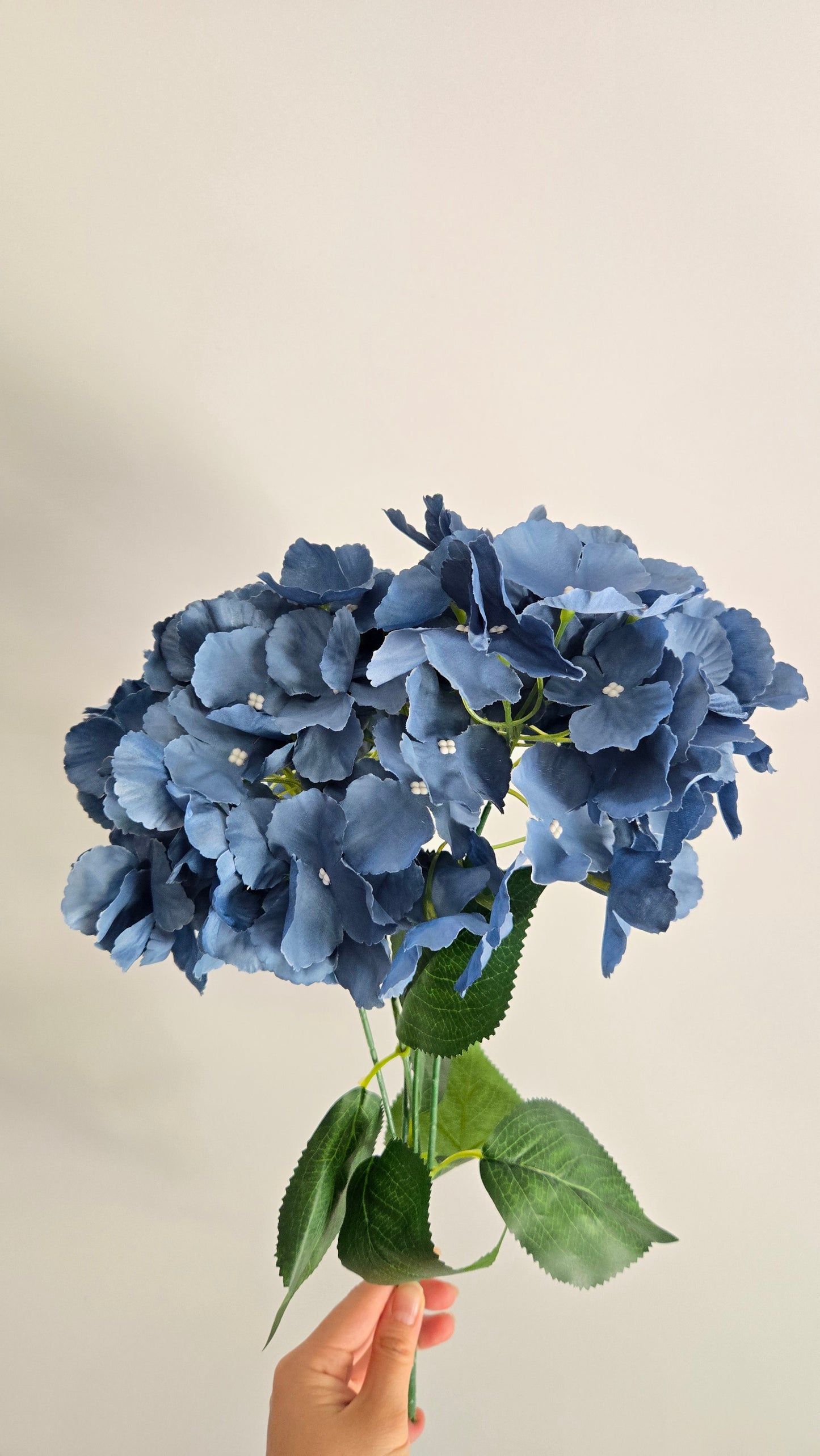 5H Native Hydrangea Bunch (10 Colours)