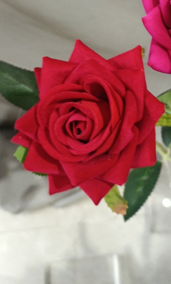 Ice Velvet Rose (Single Stem)