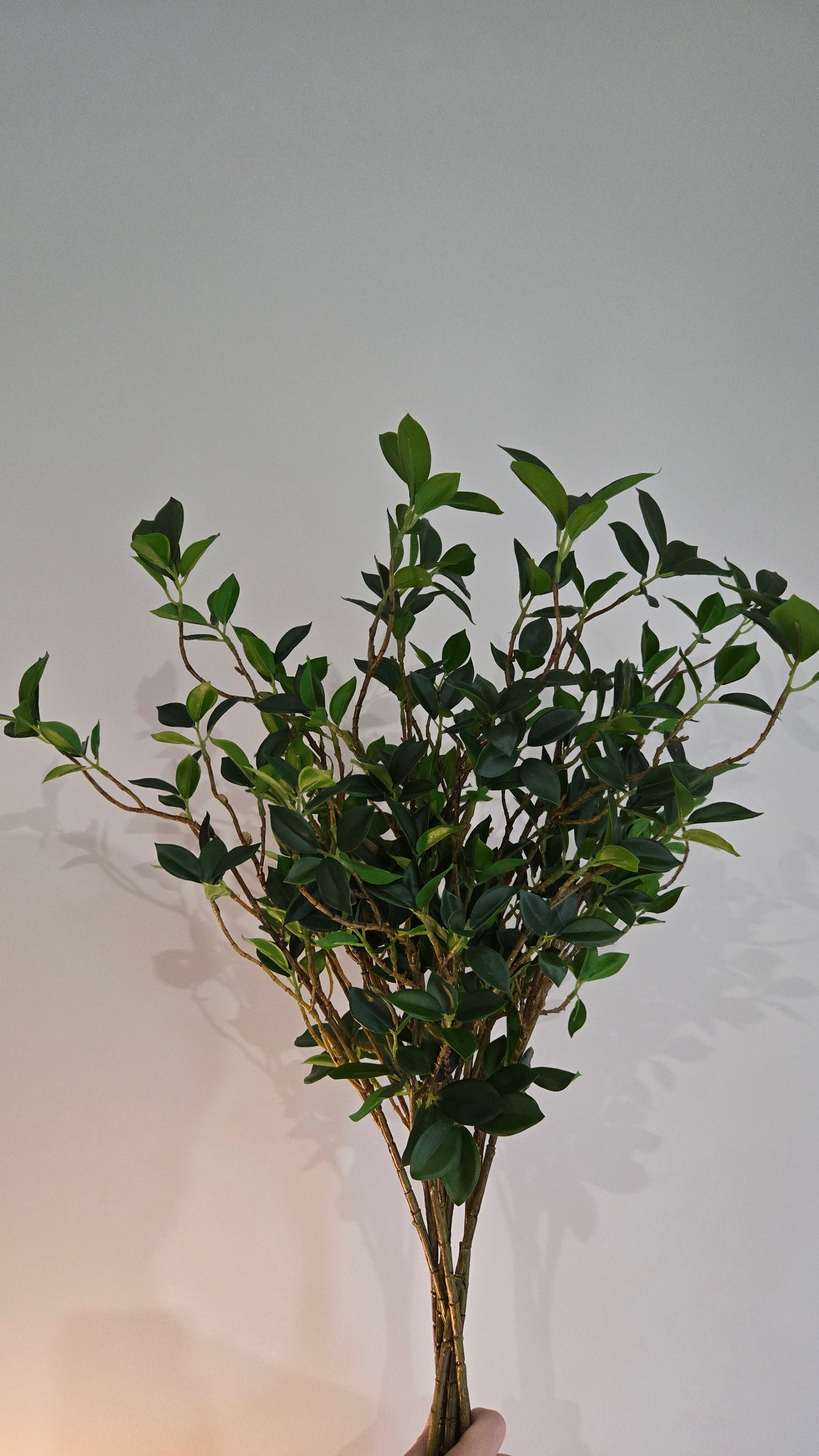 Tea Leaves Foliage (Natural Real Look)