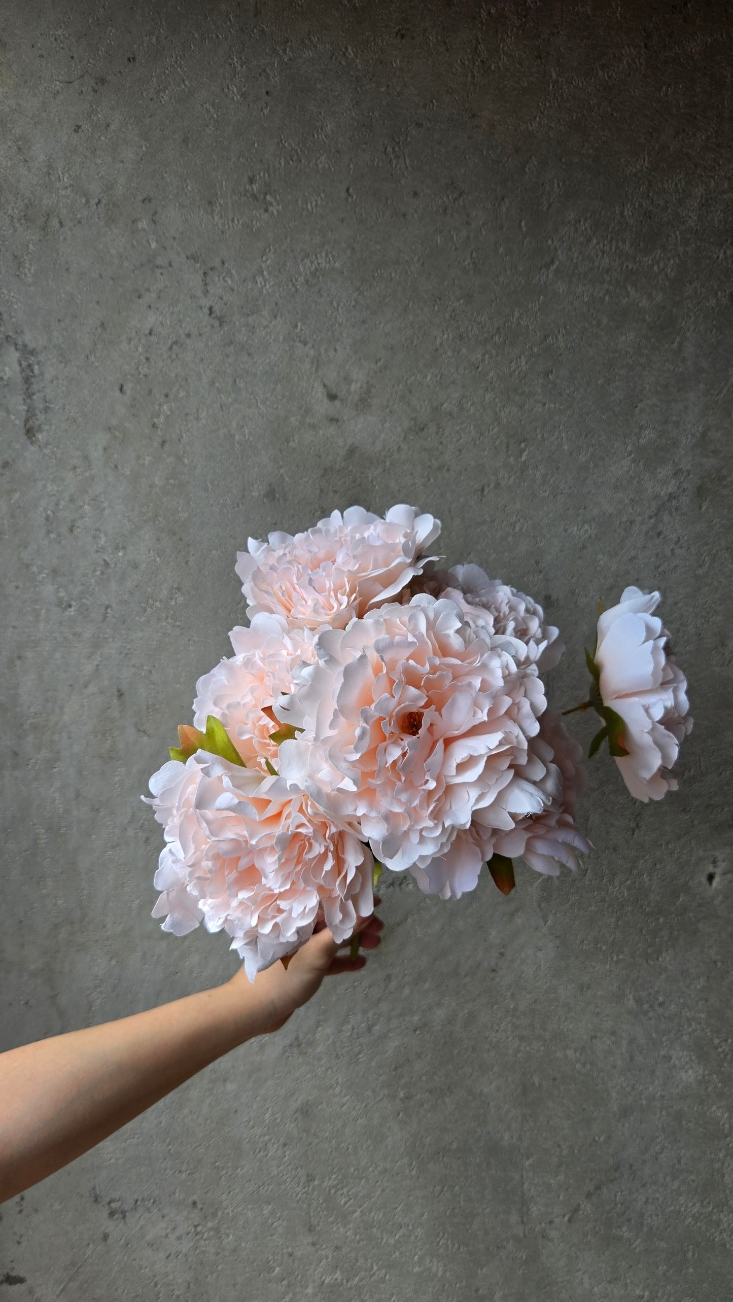 7H Silk Peony (9 Colours)