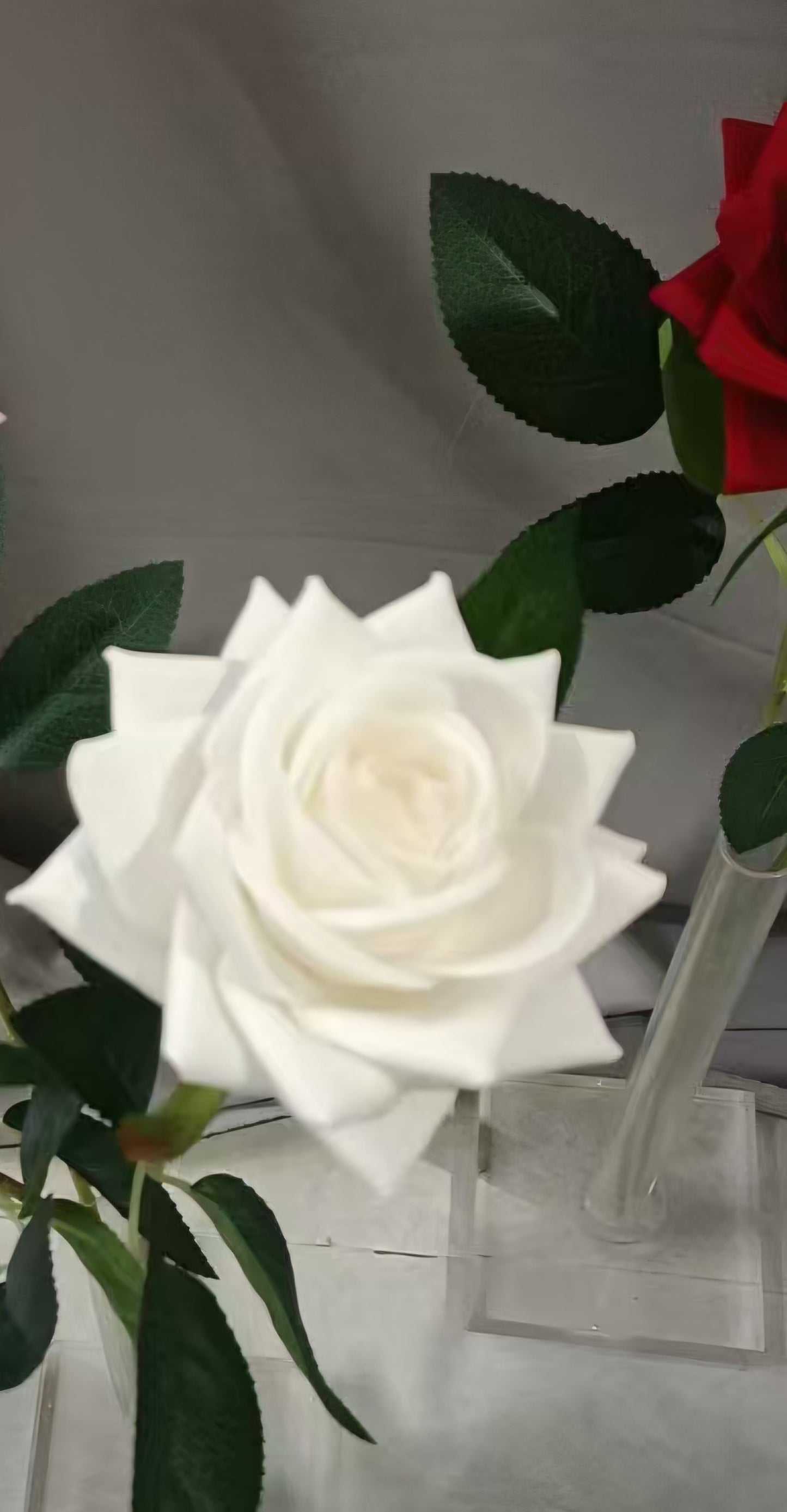 Ice Velvet Rose (Single Stem)