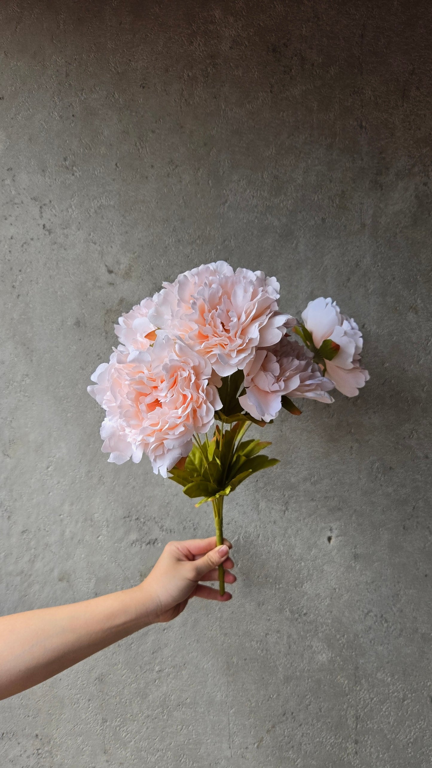 7H Silk Peony (9 Colours)