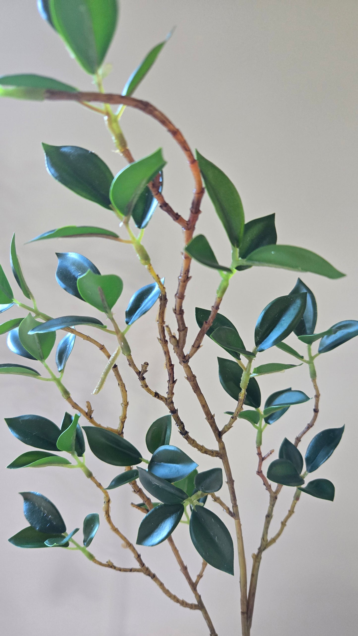 Tea Leaves Foliage (Natural Real Look)