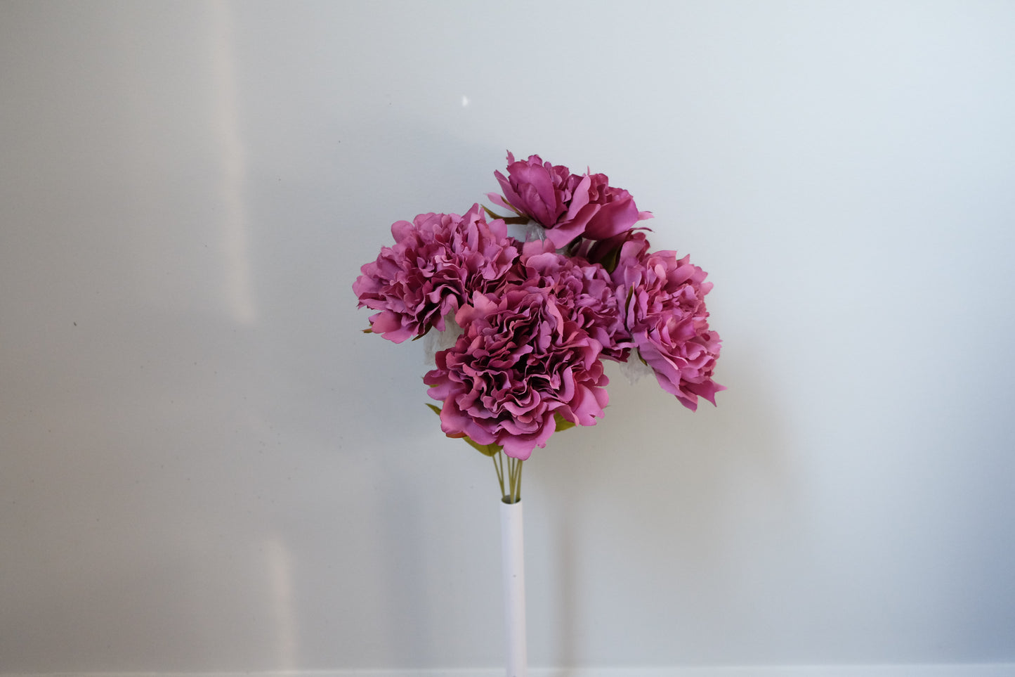 7H Silk Peony (9 Colours)