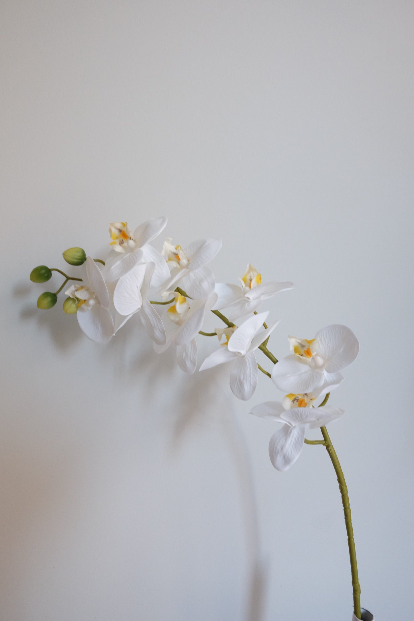 9H Oriental Orchid (Real Touch)