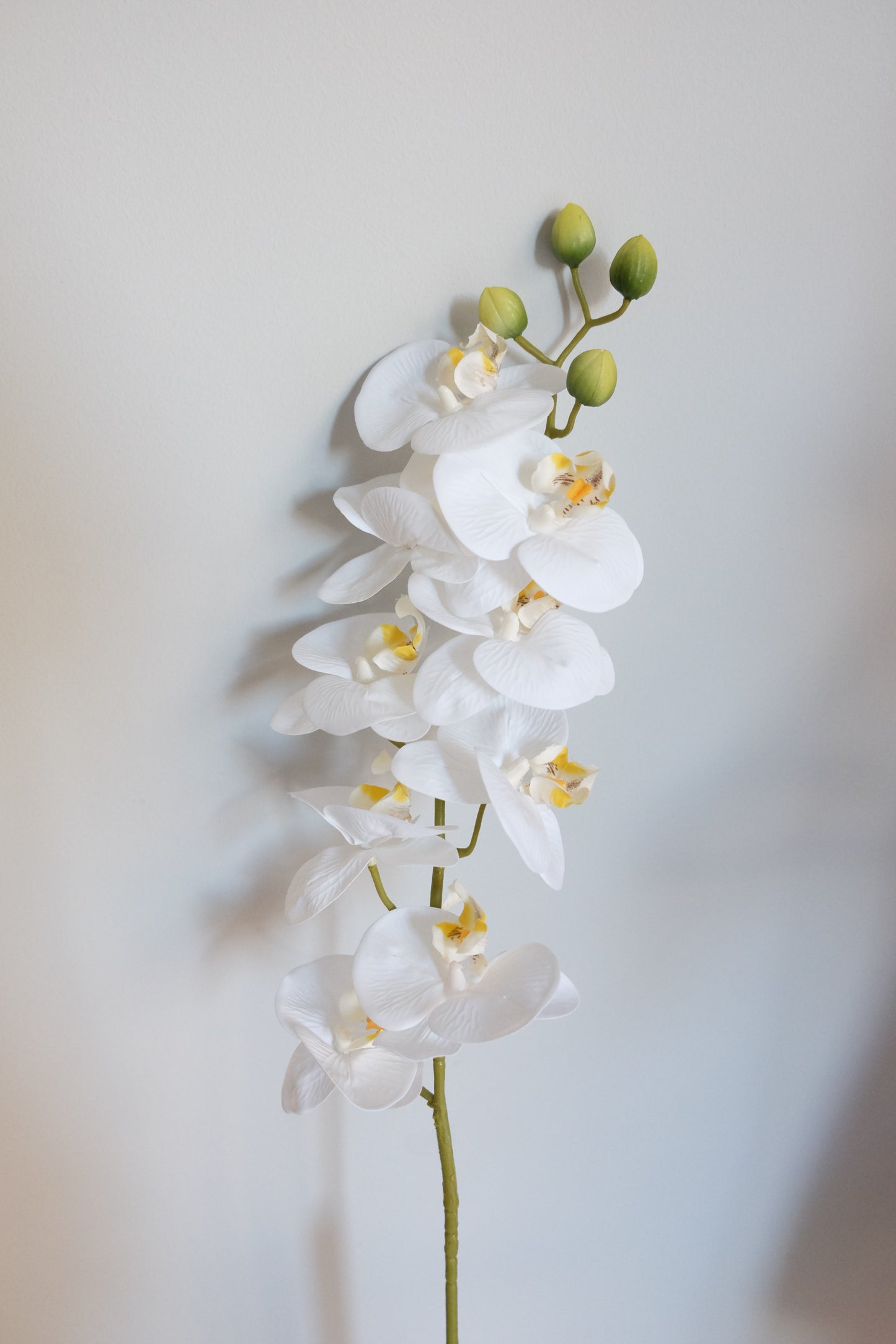 9H Oriental Orchid (Real Touch)