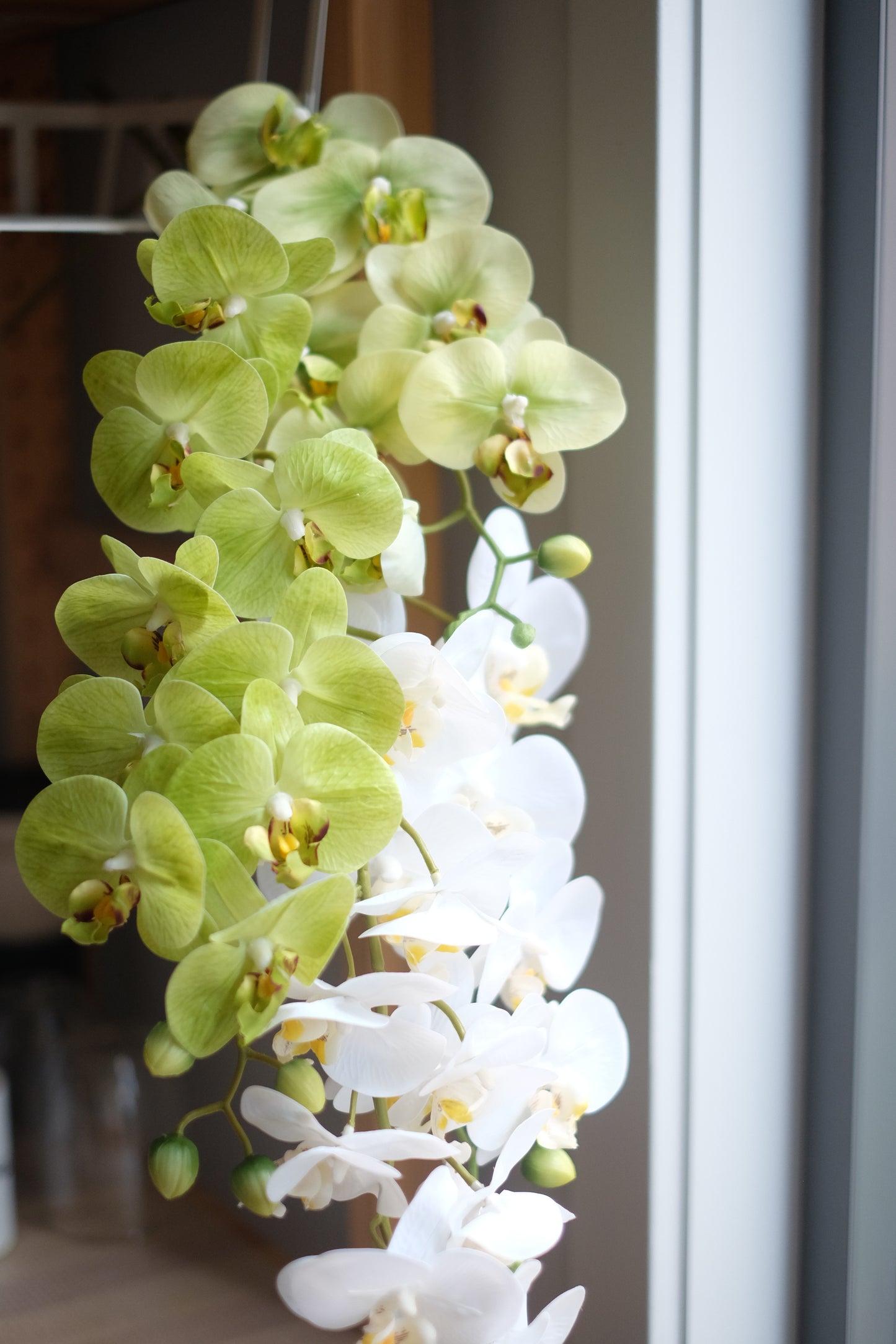 9H Oriental Orchid (Real Touch)