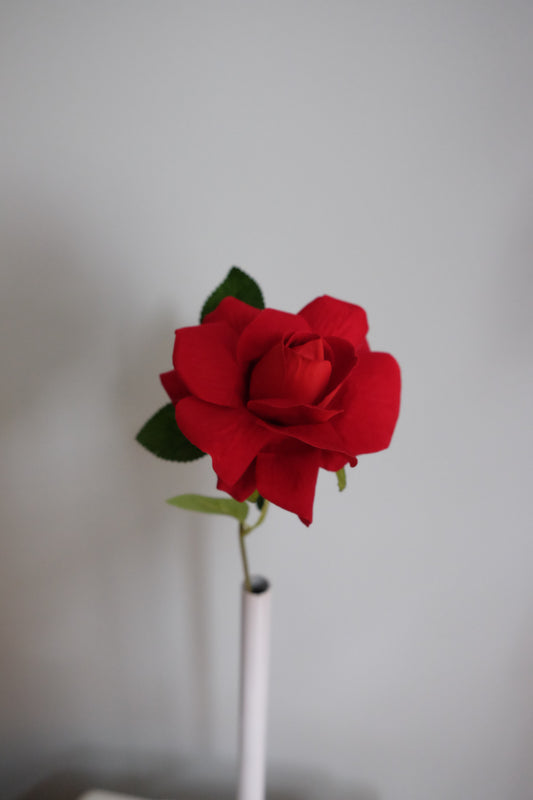 French Velvet Rose (Single Stem, 3 Colours)