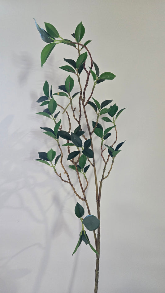 Tea Leaves Foliage (Natural Real Look)